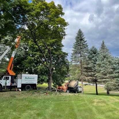Pruning Services for Baboosic Tree & Landscape in Merrimack, NH
