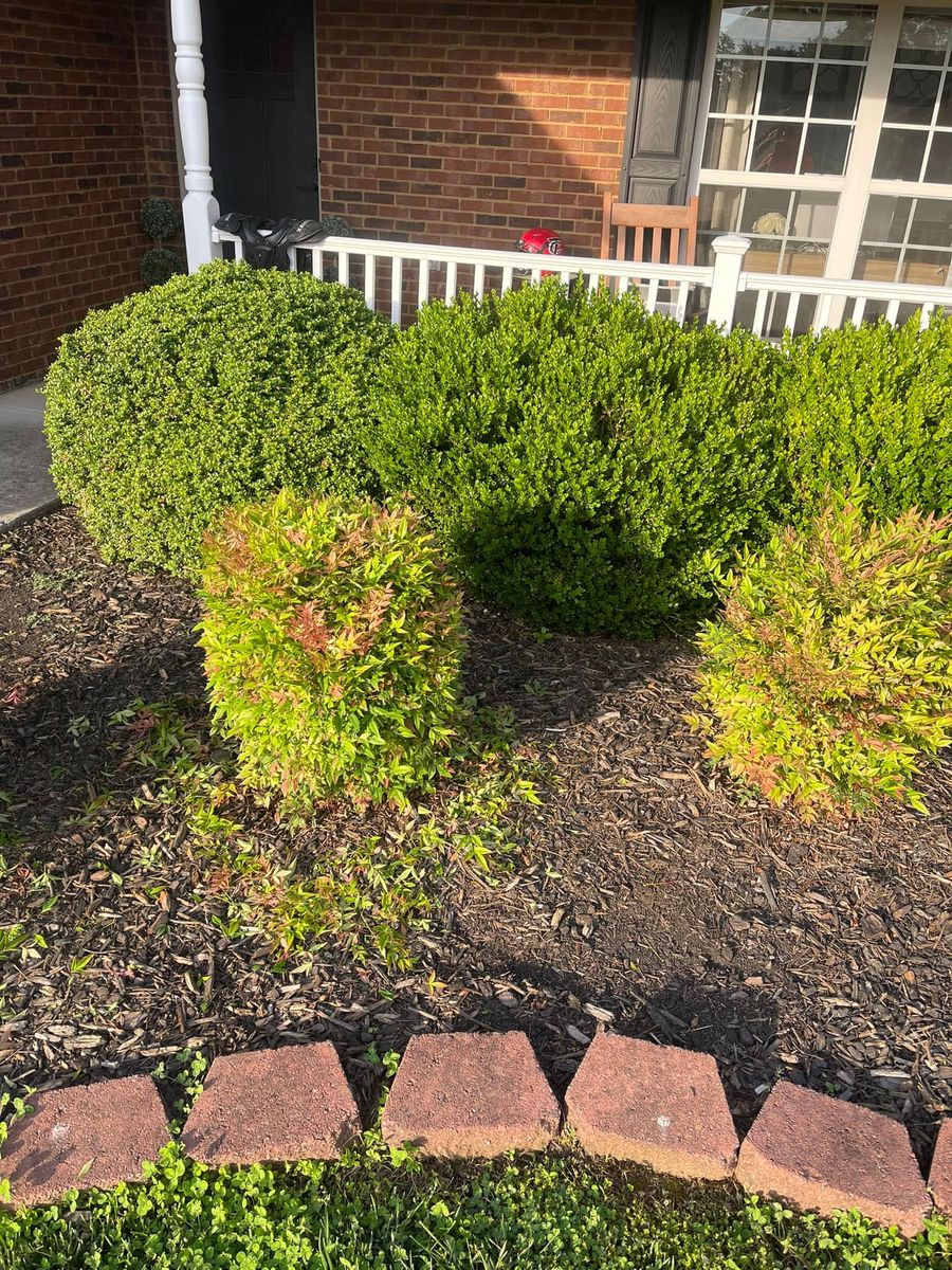 Shrub Trimming for R&M Property Maintenance in White Pine, TN