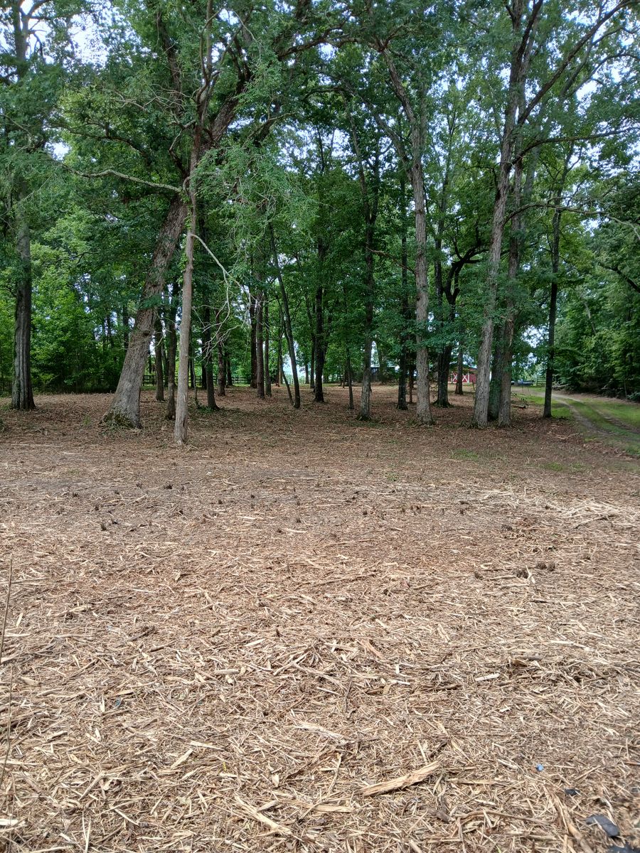 Forestry Mulching for Whiskey Ridge Mulching & Land Services in South Boston, VA