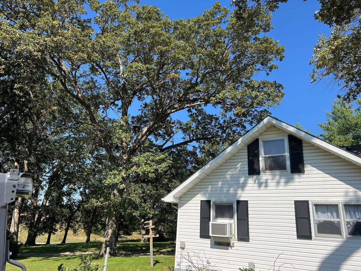 Property Clean Up for Baker Professional Services LLC in Shelbina, MO