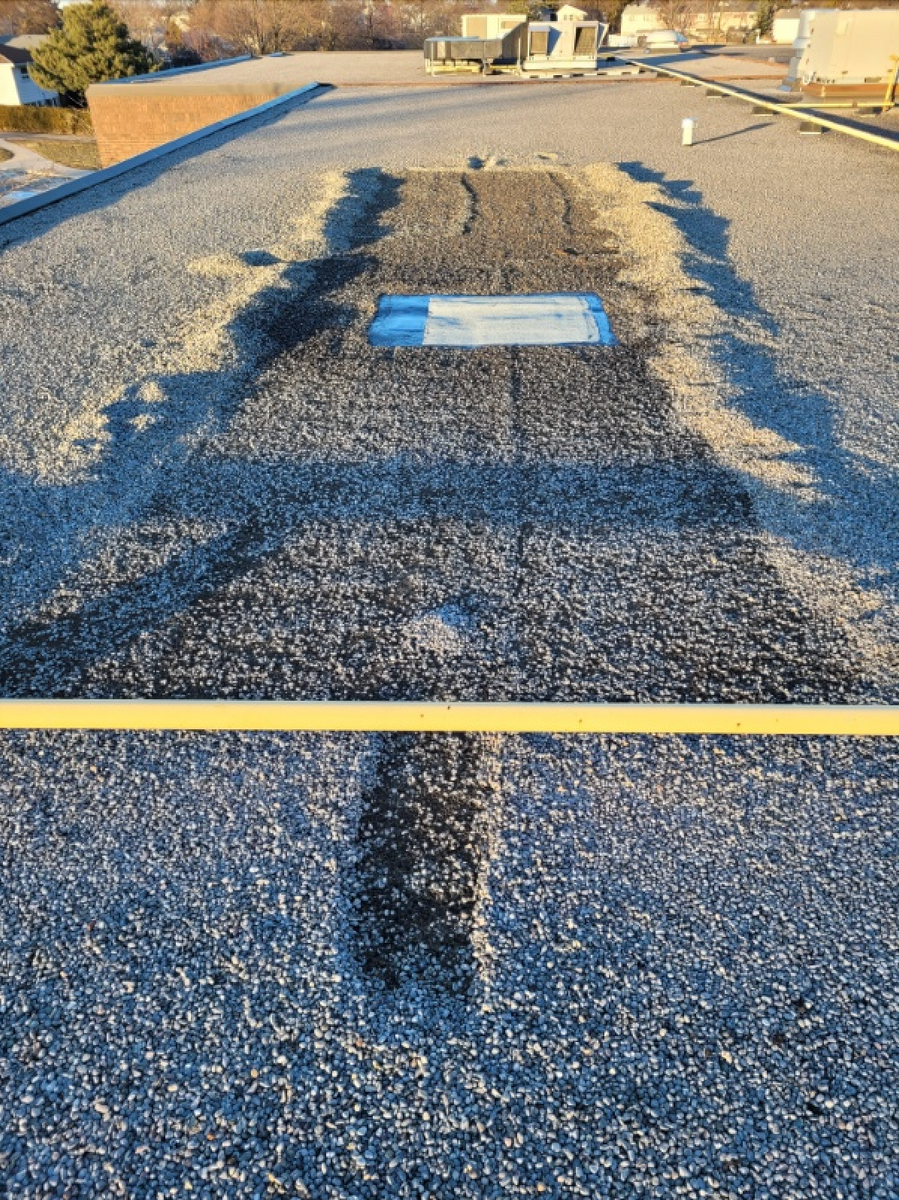 Roofing Maintenance for Triumph Inc - Repair & Maintenance in Scarborough, ON