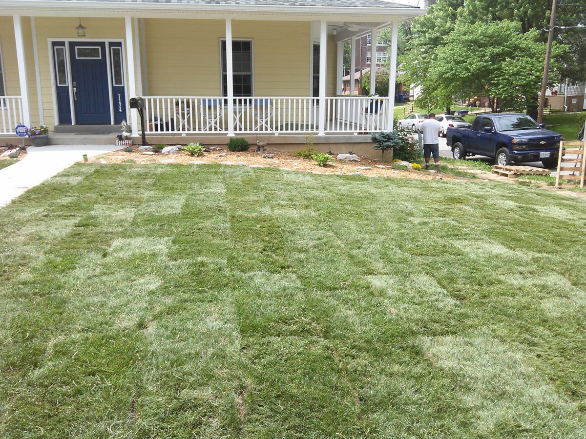 Sod Installation for VQ Land & Stone in St. Louis, MO