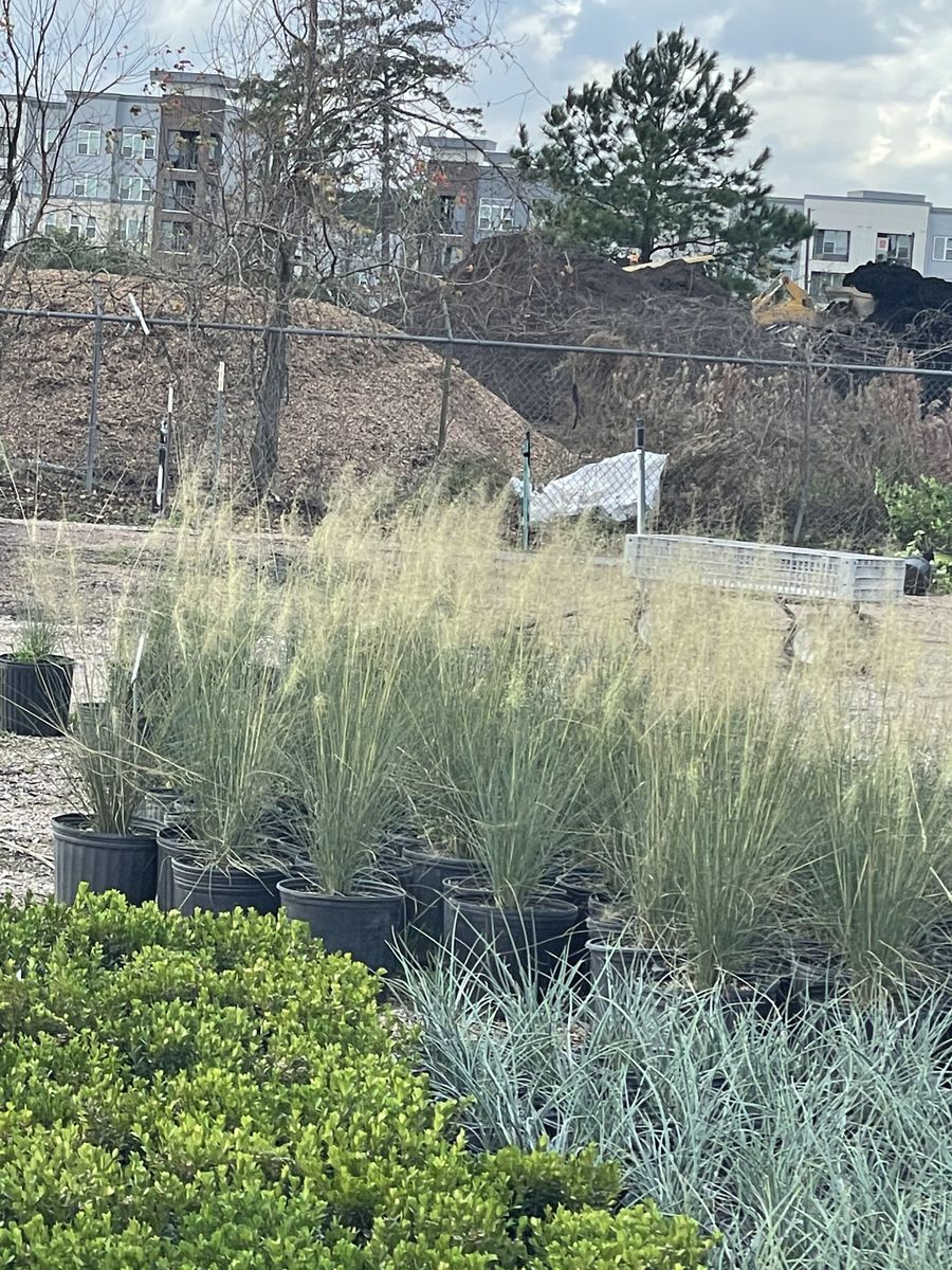 Landscape Installation for Atlas Land Design in Creekside Park, TX