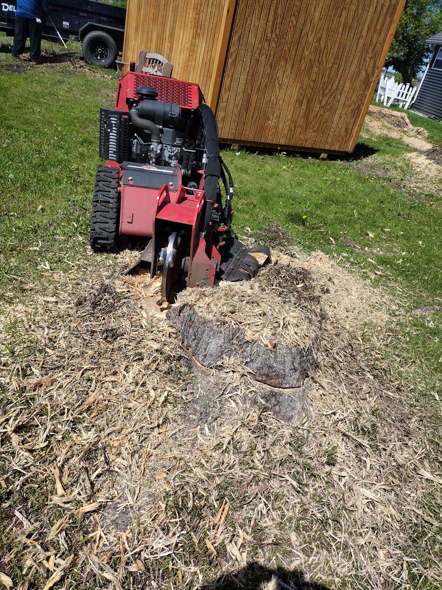 Stump Removal for Dan's tree service in Bemidji, MN