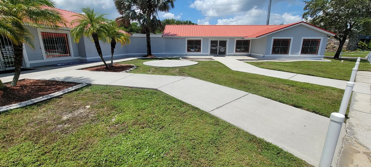 Driveway and Sidewalk Cleaning for Blue Stream Roof Cleaning & Pressure Washing  in Tampa, FL