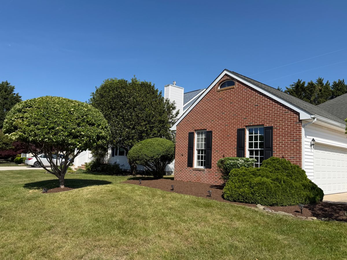 Trimming for Lawn pro services in Georgetown, DE