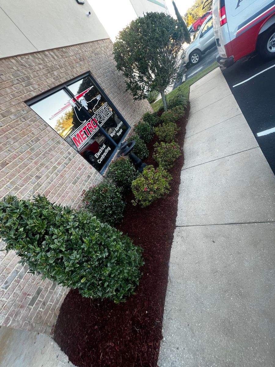 Shrub trimming, Property cleanup for Enhanced Landscape in Daphne, AL