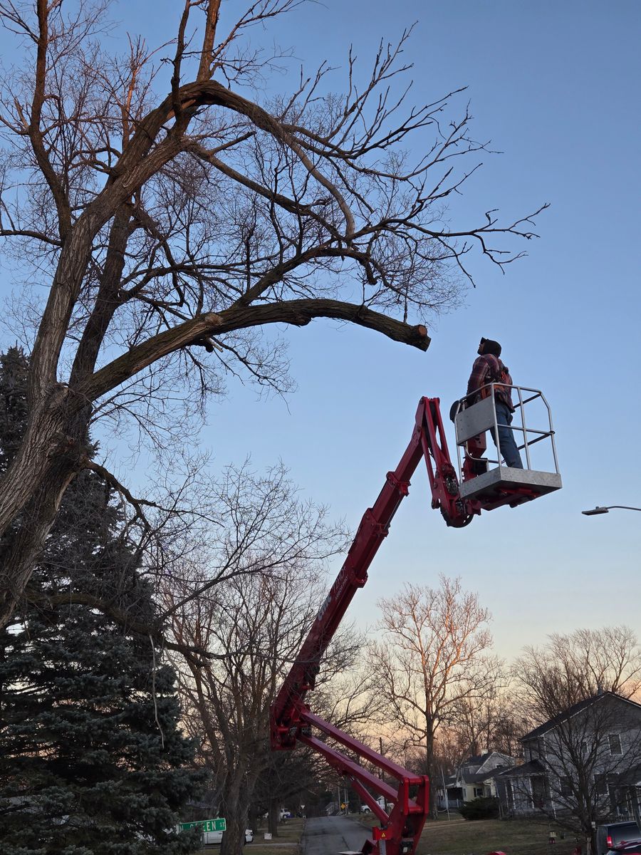 Tree Removal for Lawn Ranger Yard And Tree Service LLC in Ottumwa, IA