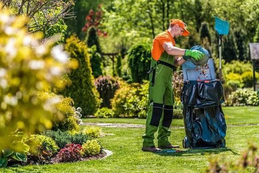 Residential Lawn Care for Superior Lawn Solution in Coats, NC