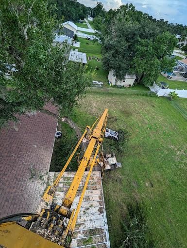 Tree Trimming for Regal Tree Service and Stump Grinding in Wauchula, FL