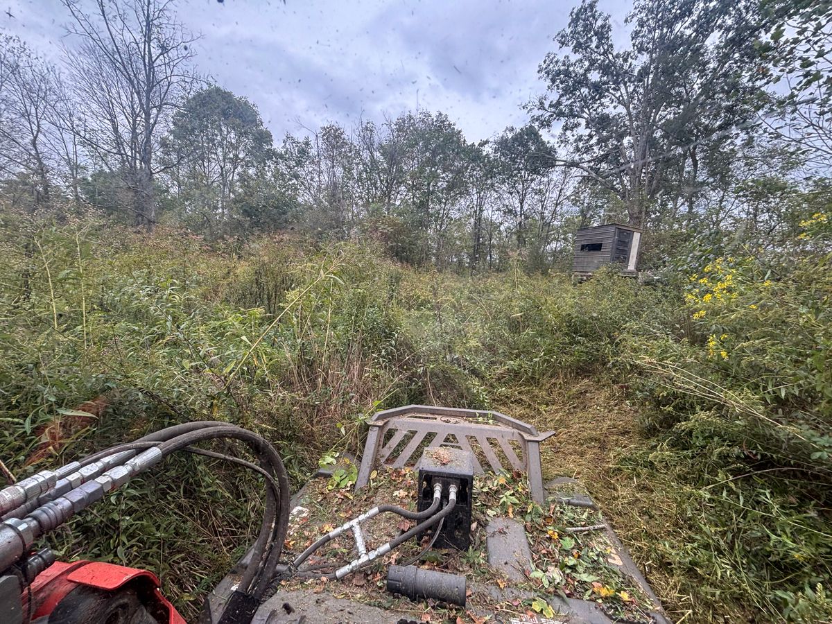 Land Clearing for Gregory Grass and Lawn in Lafayette, TN