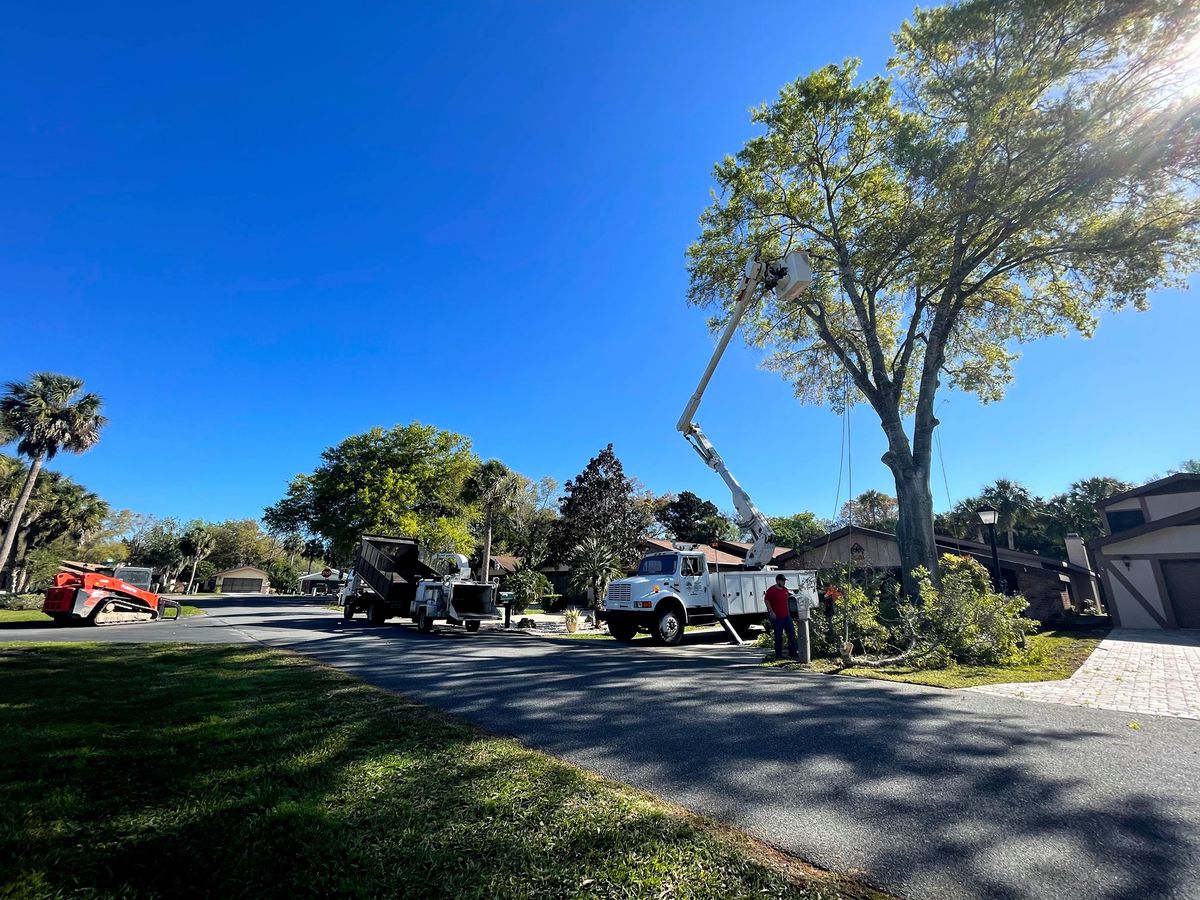 Tree Trimming for Ross Family Tree Service LLC  in Hohenwald, TN