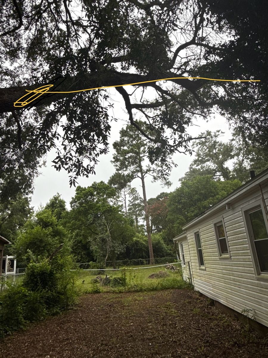Danger Tree  for Hawkins Tree Service & Land Management in Richmond Hill, GA