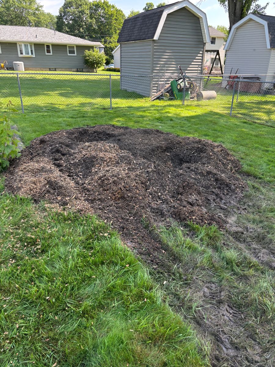 Stump Removal for Dean's Stump Removal in Youngstown, OH