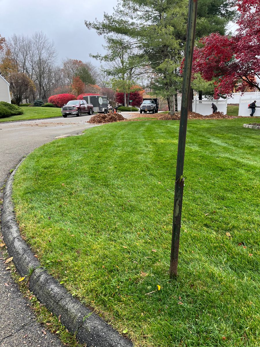 Fall Clean Up for Zaldivar’s Lawn Care INC  in Peekskill, NY