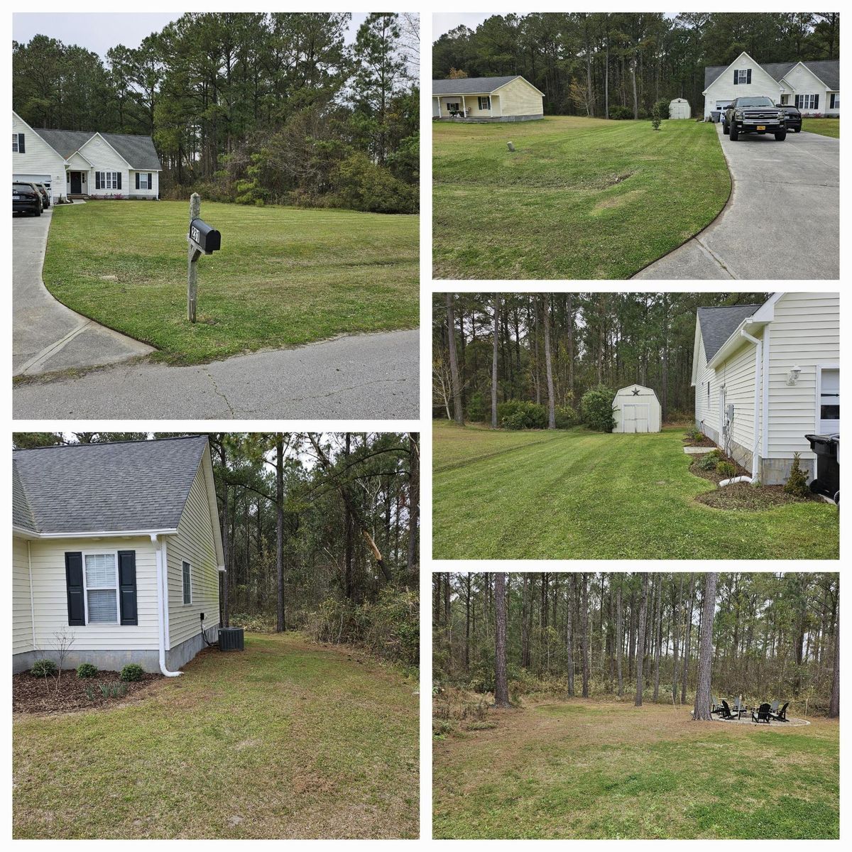 Hedge Work for Heroy's Lawn Services in Jacksonville, North Carolina