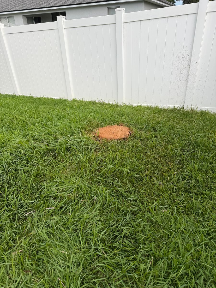 Stump Removal for Daniel Hickey’s Tree Service in DeLand, FL