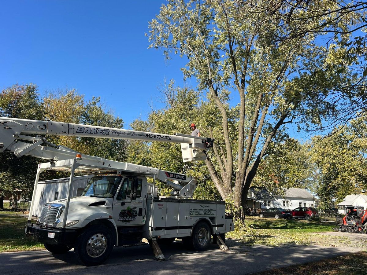 All Skidloader Services for Baker Professional Services LLC in Shelbina, MO