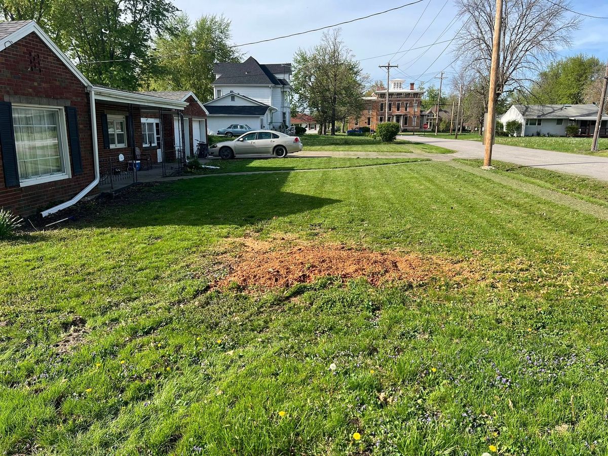 Stump Grinding for Baker Professional Services LLC in Shelbina, MO