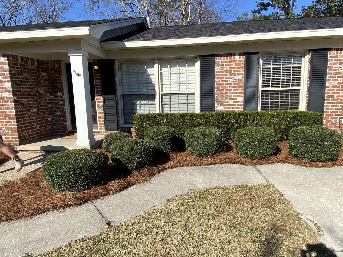 Shrub Trimming and Pruning for All-Star Lawn Care & Soft Washing in Mobile, AL