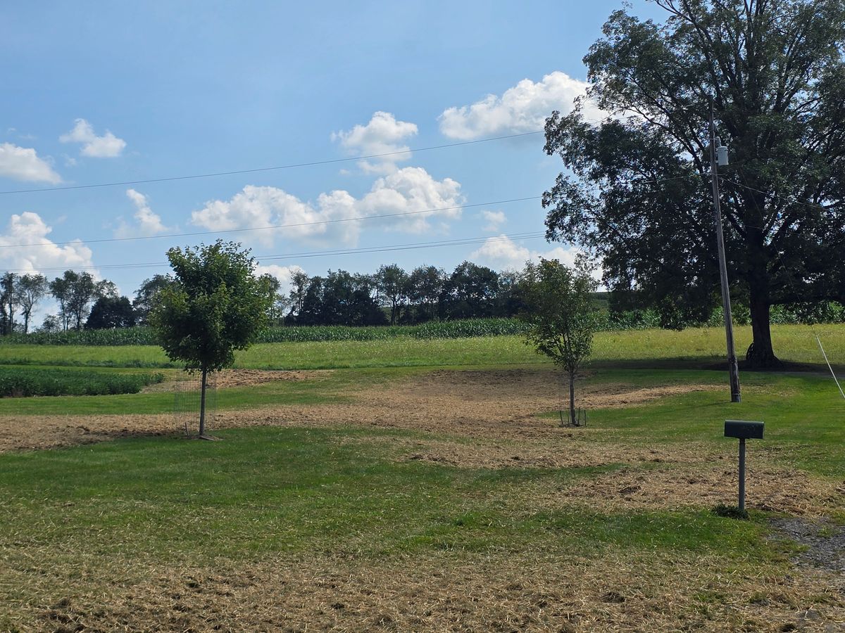 Water Runoff Control and Drainage for Down Home Landscaping in Stillwater, PA