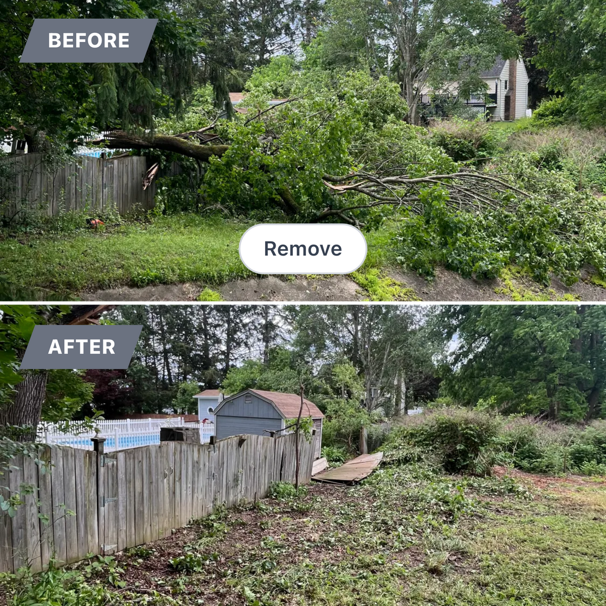 Storm work / Emergency work for Licensed to Cut Tree Service in Athens, PA