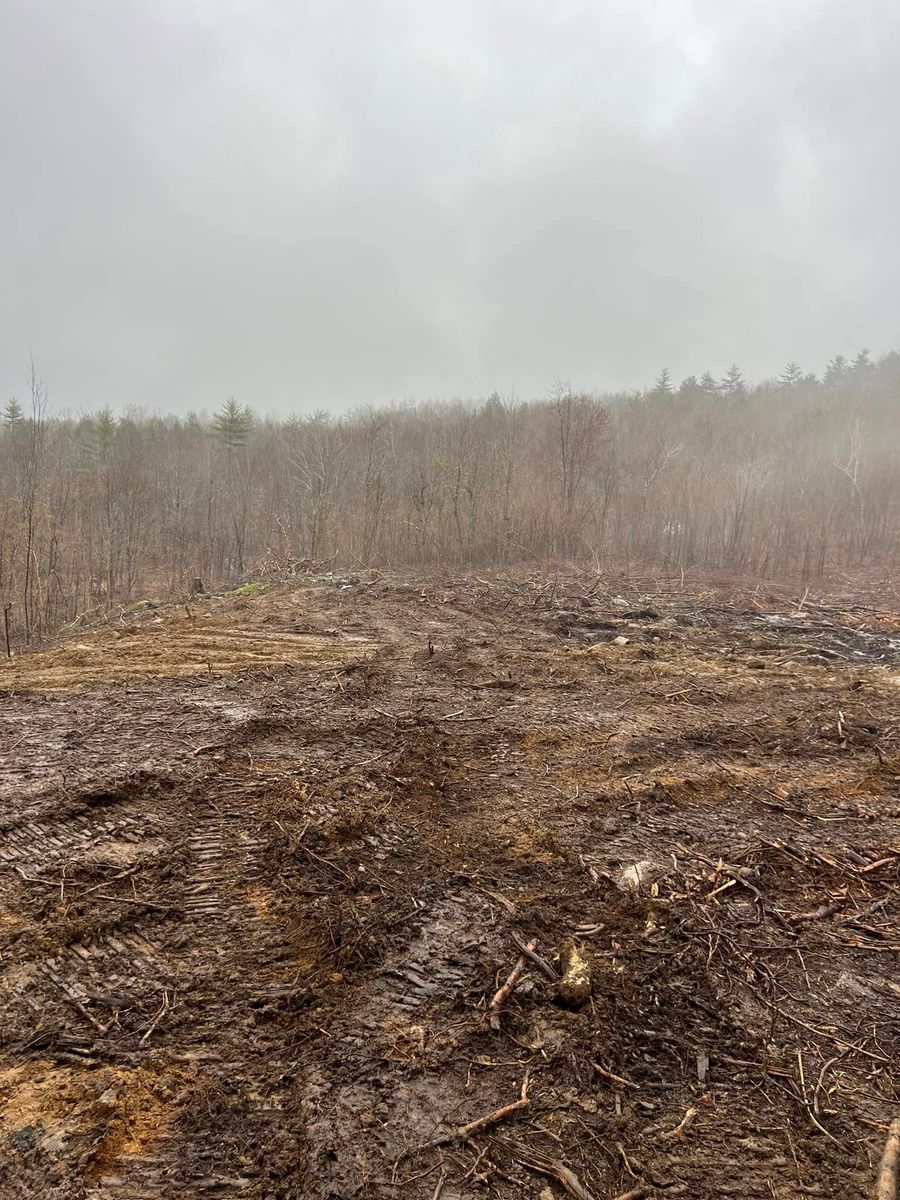 Site Preparation for Shufelt Excavation & Forestry Mulching in Gray, ME
