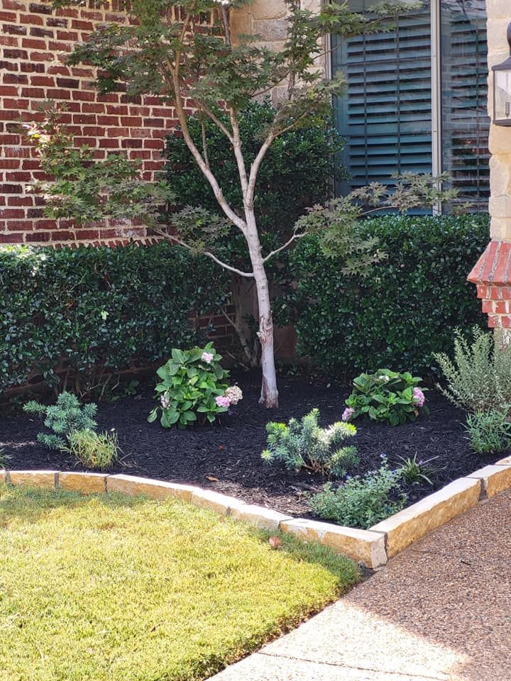 Mulch Installation for Bryan's Landscaping in Arlington, TX