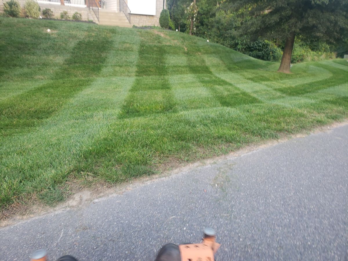 Lawn Maintenance for Sam I AM Property Solutions in Sunderland, MD