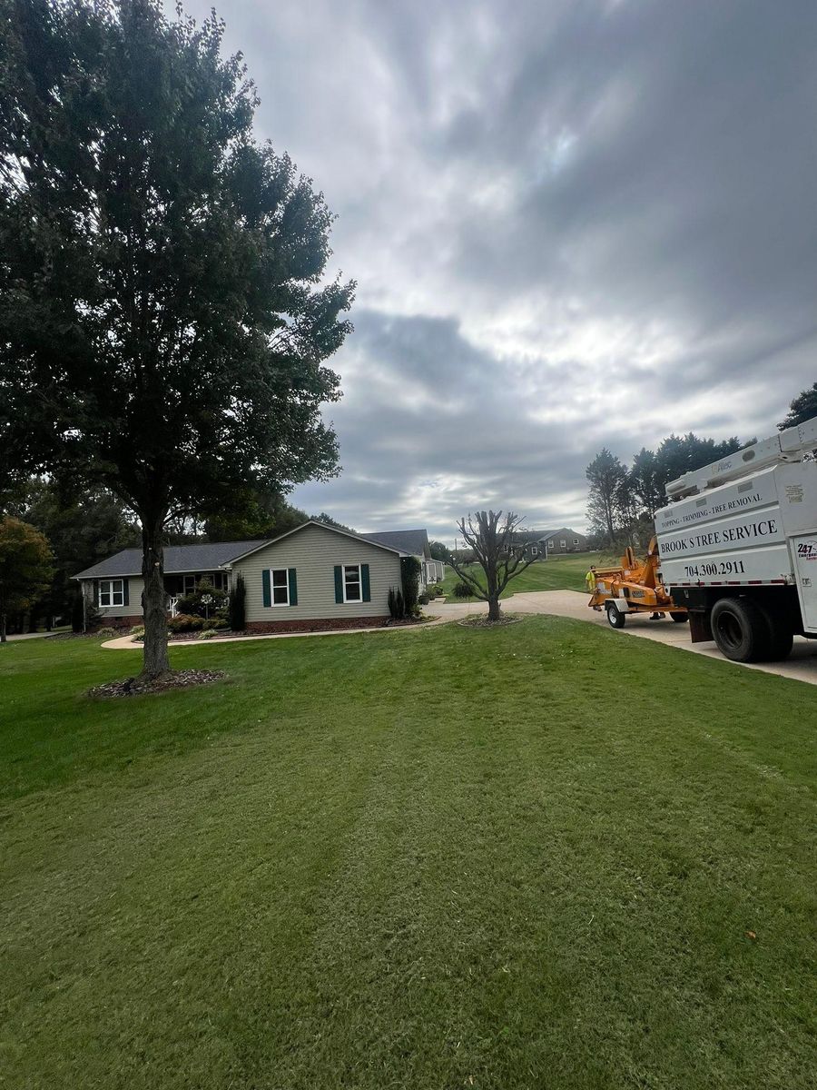 Fall Clean Up for Brooks Tree Service, LLC in Casar, NC