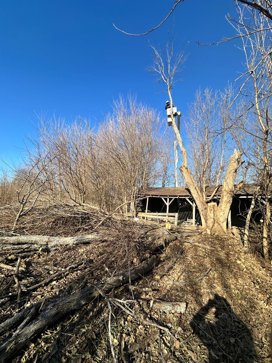 Land Clearing for Cross Family Tree Service in Kearney, MO