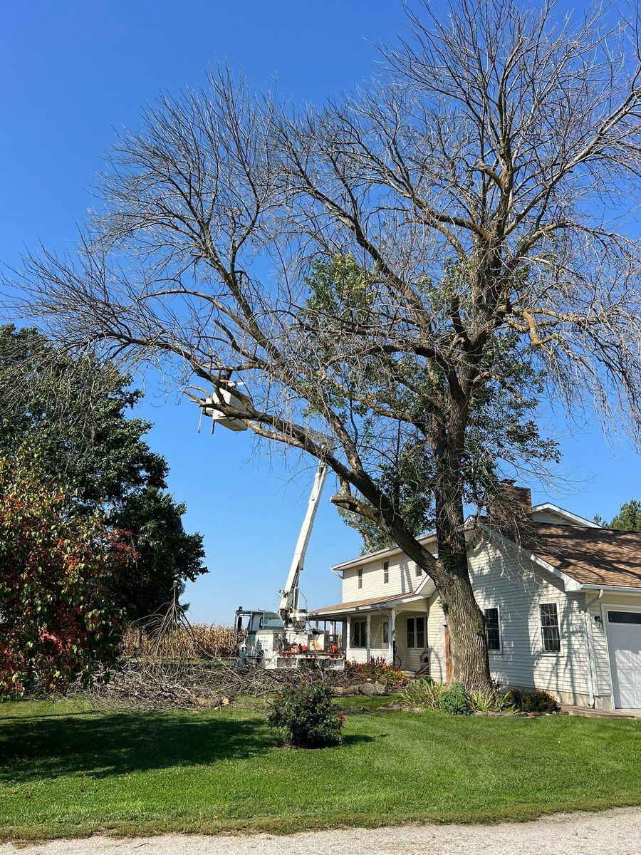 Property Clean Up for Baker Professional Services LLC in Shelbina, MO