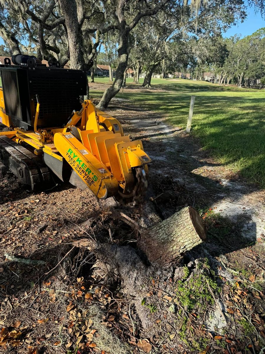 Stump Removal for Ryker's Tree Service in Dunedin, FL