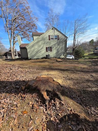 24/7 storm cleanup for M&L Lumber and Excavating in Jonesborough, TN