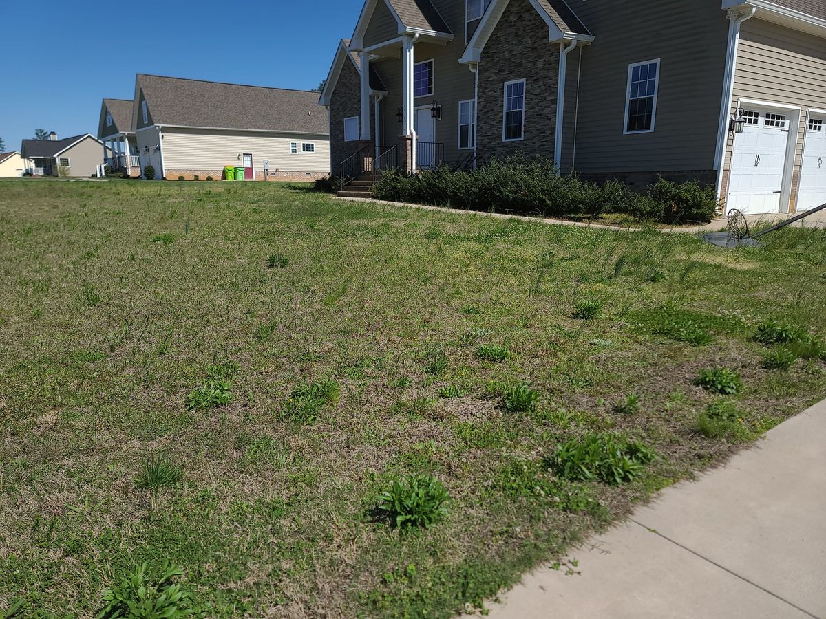 Lawn Maintenance for Westscape Designs in Lake Gaston, NC