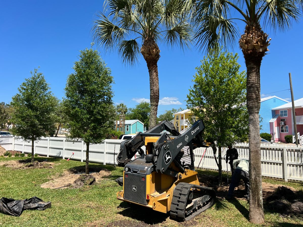 Grade / Finish work for Roberts Lawn & Landscape in Steinhatchee, FL