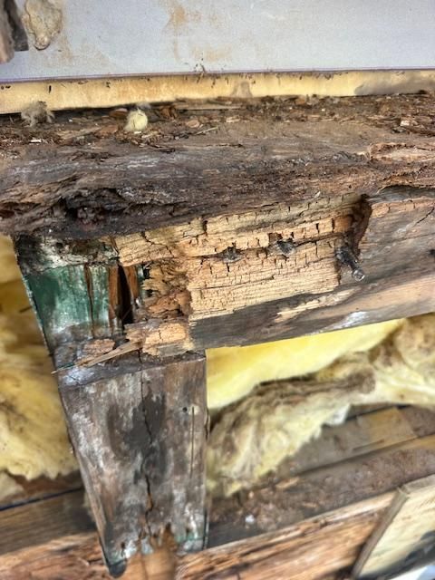 Carpentry for Carolina Odd Jobs Inc. in Sneads Ferry, NC