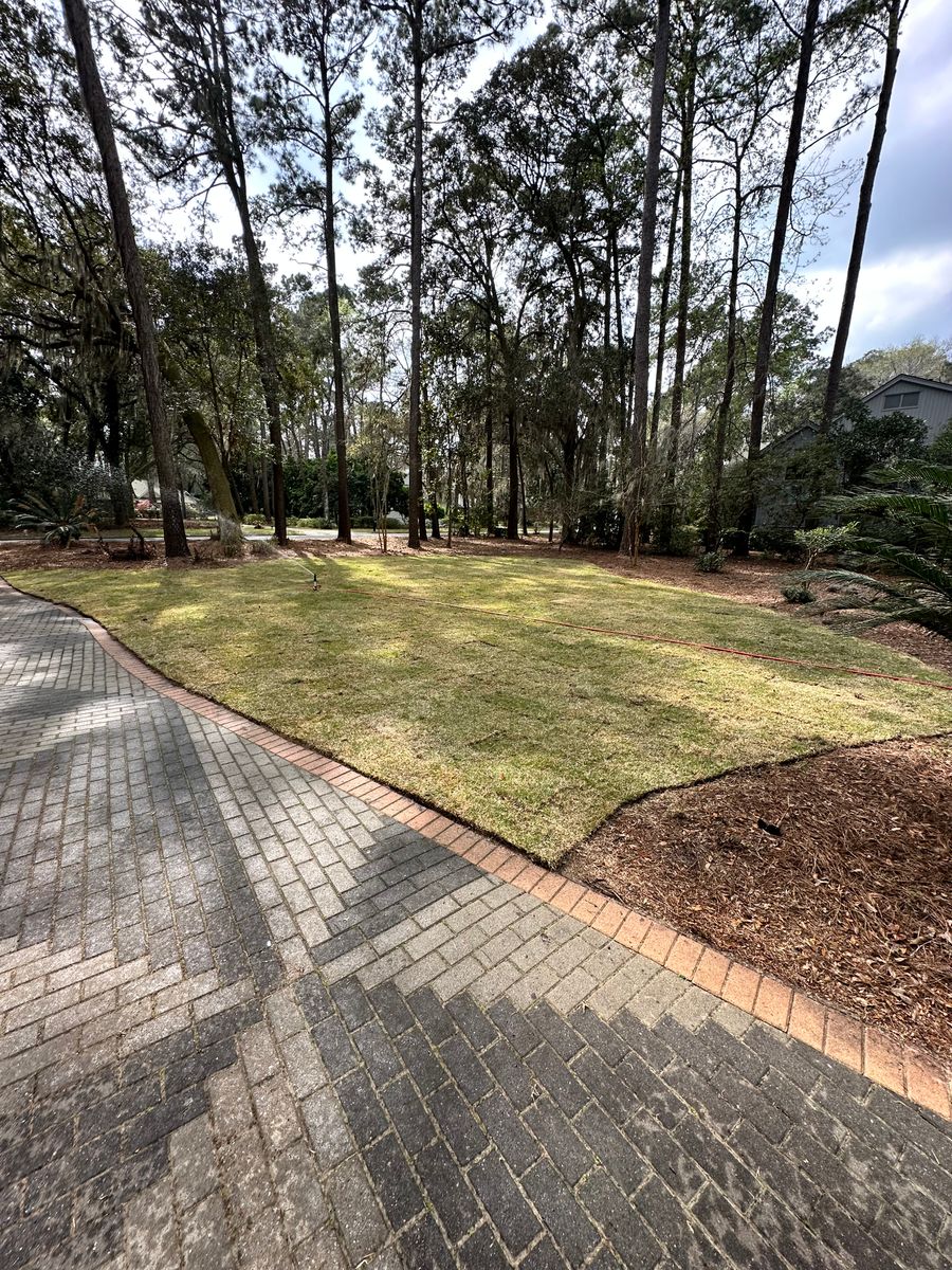 Sod installation for Coastalscapes Landscaping & Turf Management  in Savannah, GA