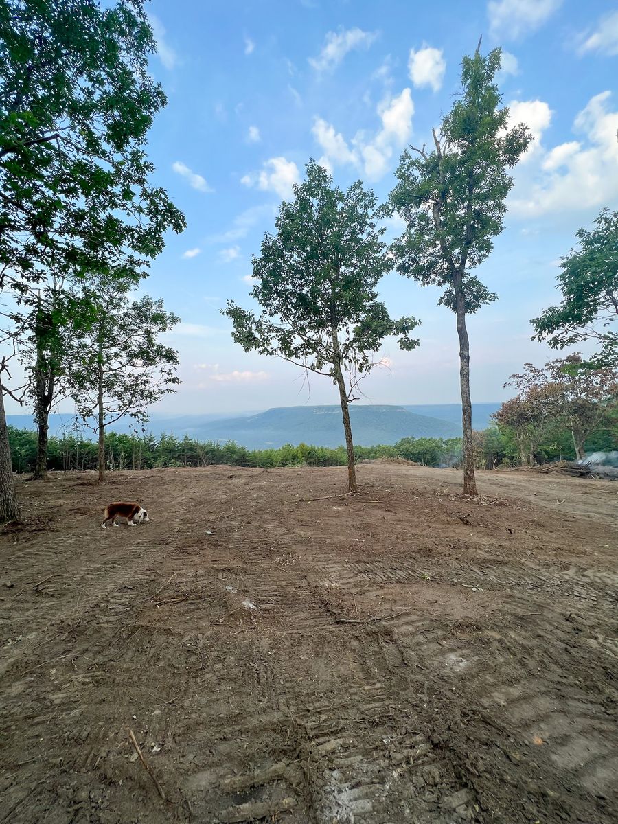 Land Clearing for McBryar Excavation in Trenton, GA