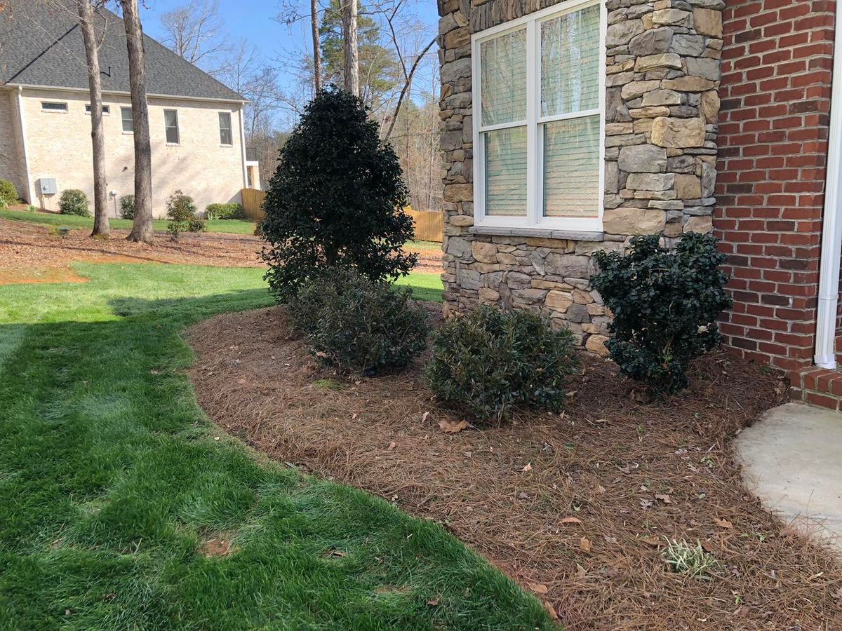 Mulch Installation for El Perico Tree Service and Lawn Care, LLC in Boonville, North Carolina