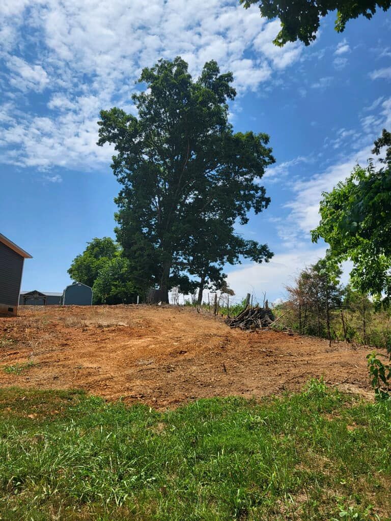 Land Clearing for Grainger Tree Service in Blaine, TN