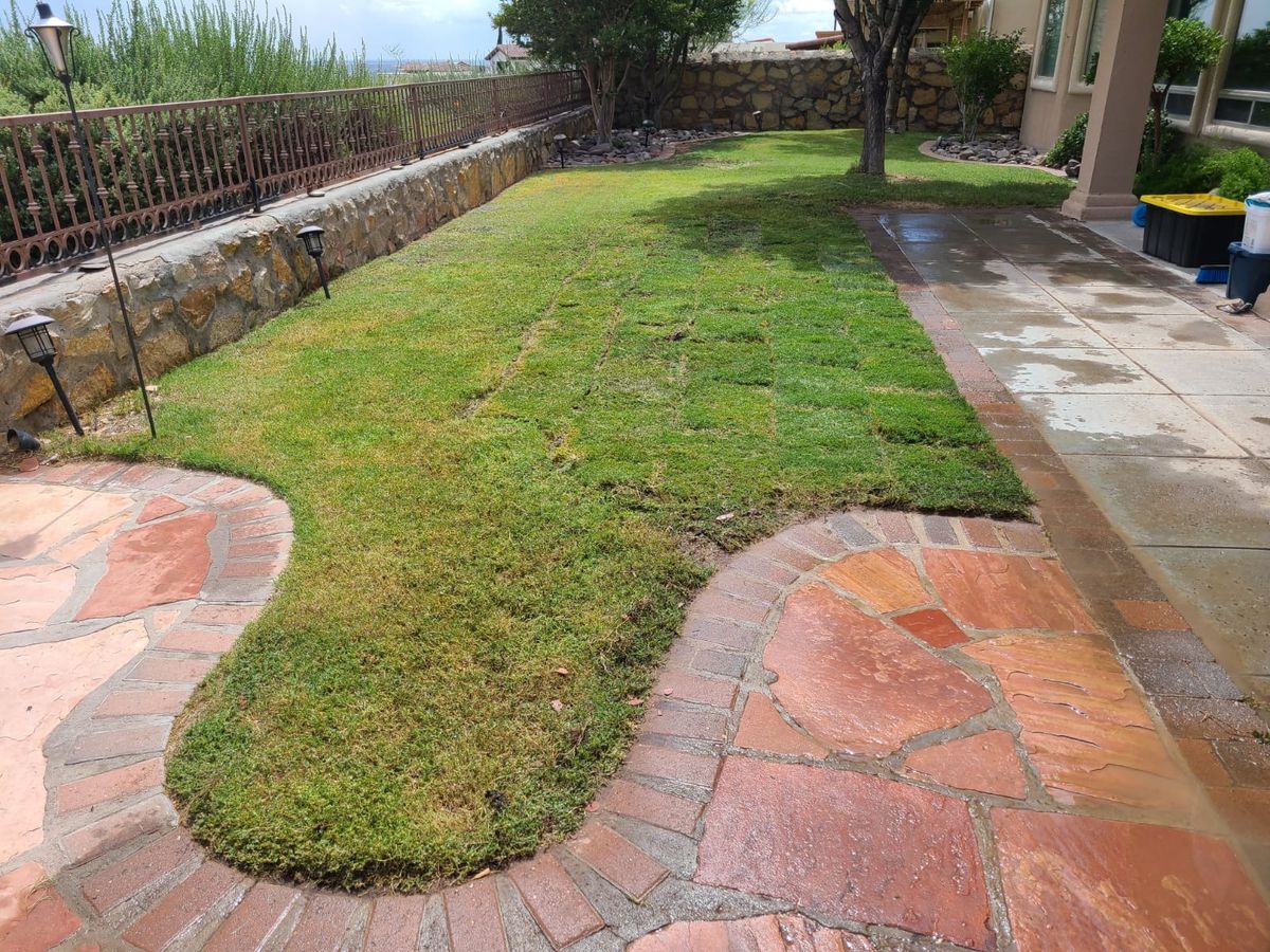 Sod Installation for ADM Landscaping & Irrigation LLC in El Paso,  TX