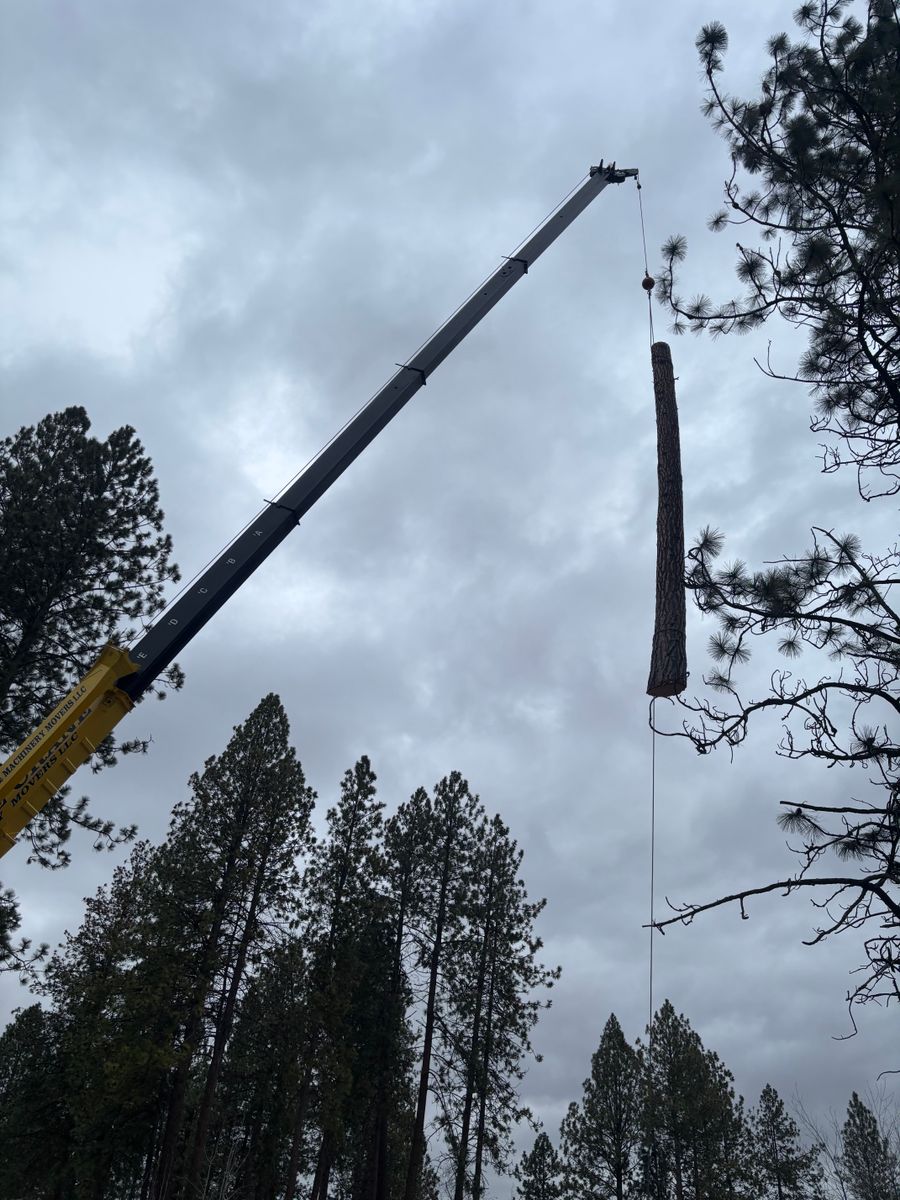 Crane-Assisted Tree Removal for AP Tree Service in Colbert, WA