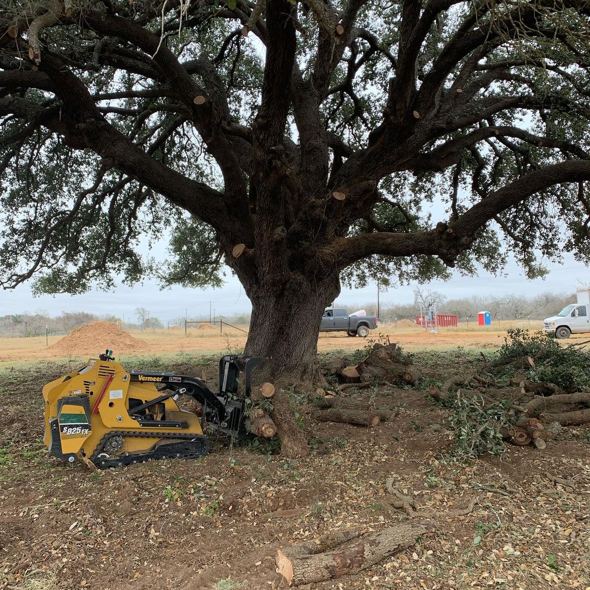 Tree Pruning for Braun Tree Service  in Floresville, Texas