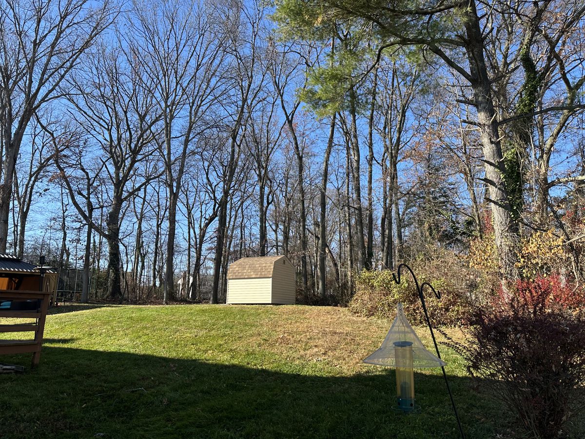 Fall Clean Up for A Better Lawn Service LLC in Bel Air, MD