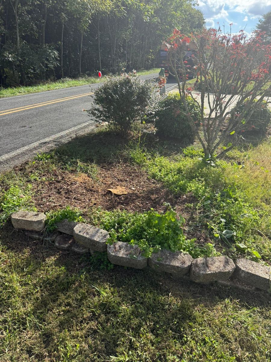 Fall Clean Up for Brooks Tree Service, LLC in Casar, NC