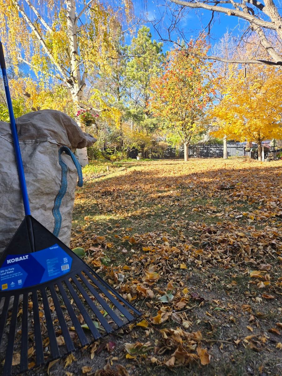 Fall Clean Up for Eagle Bay Lawn & Landscape LLC in Helena, MT