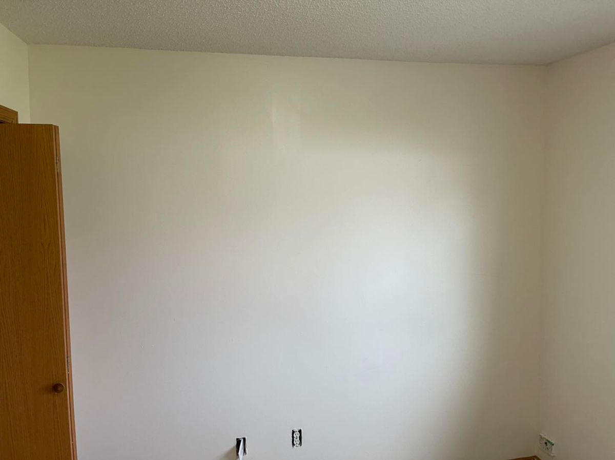 Painting and Drywall for SHS Construction & Serrano's Handyman Services  in Rochester, MN