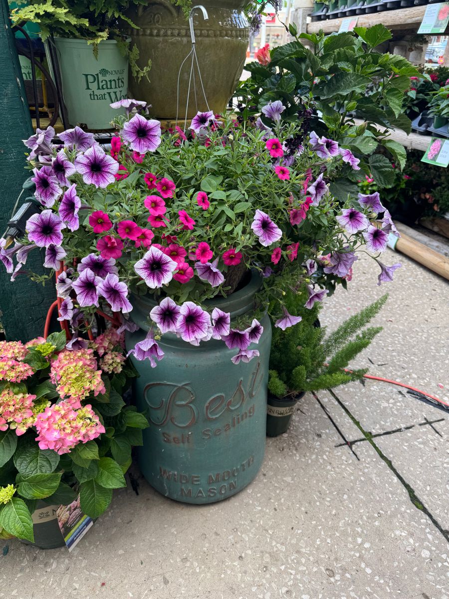 Gardening for Mayfield Landscaping in Staunton, IL