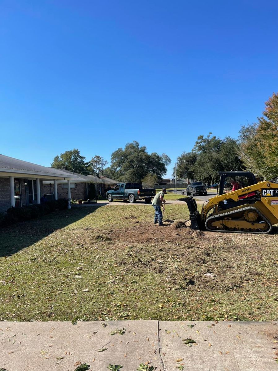 Stump Removal for Morace Tree Service in Natchez,,  MS